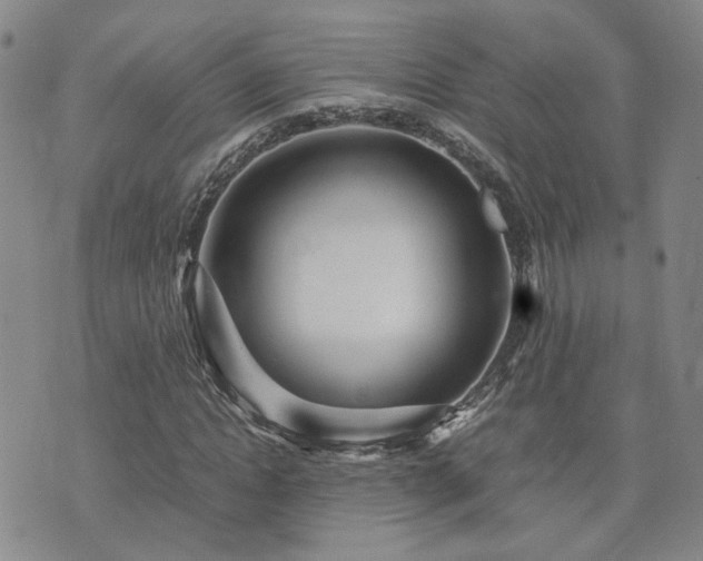 X0000071970822200607141457