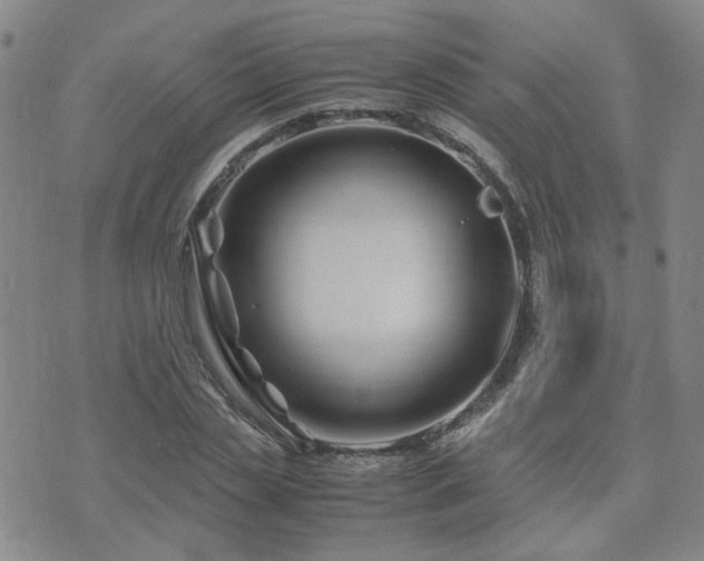 X0000071970829200607141457