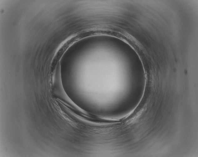 X0000071970830200607141457
