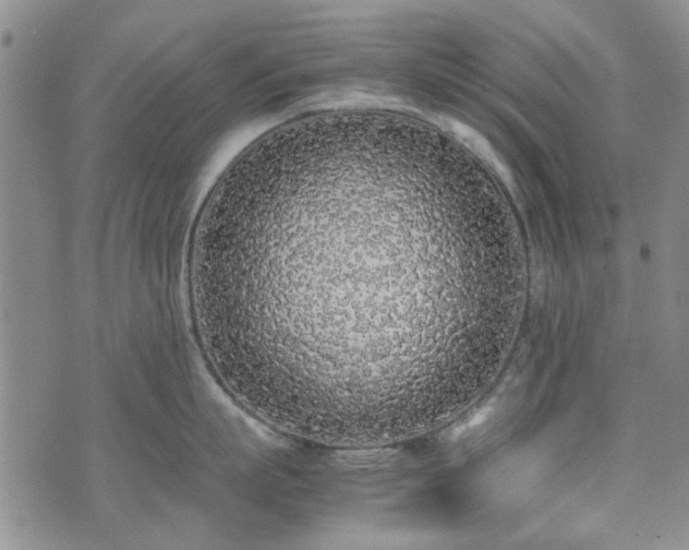 X0000071970863200607141458
