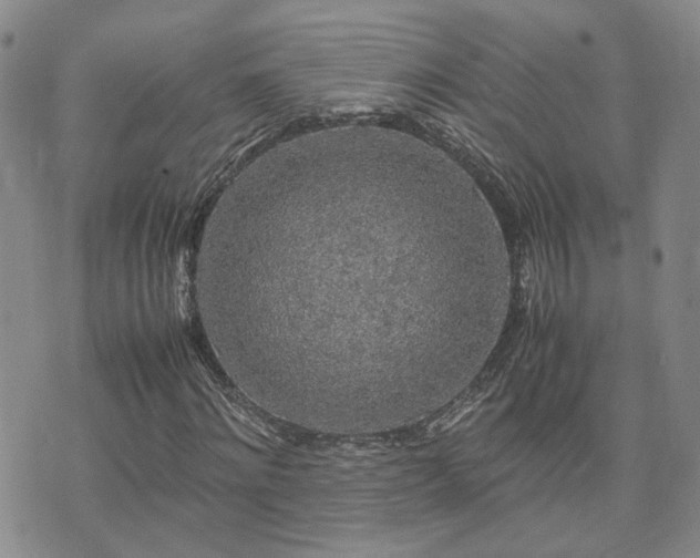 X0000071970868200607141457