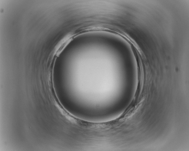 X0000071970909200607141456