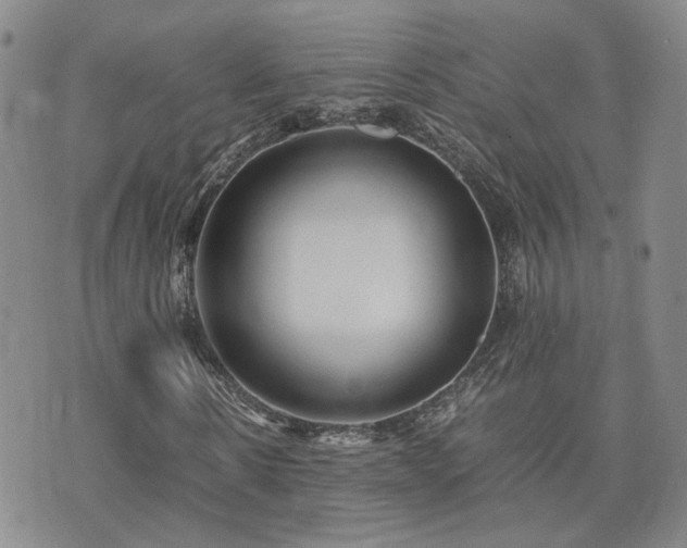 X0000071970914200607141455