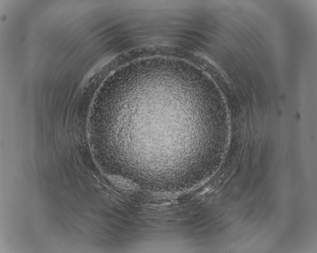 X0000071970919200607141456
