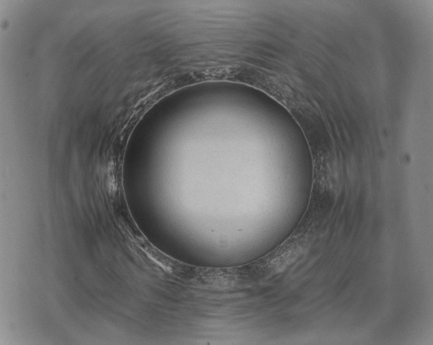 X0000071970962200607141455