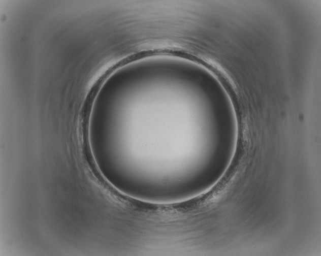X0000071970983200607141455