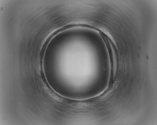 X0000071970984200607141455