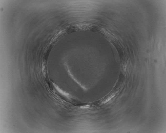 X0000071971010200607141454