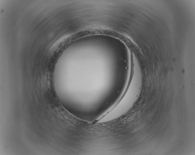 X0000071971016200607141454