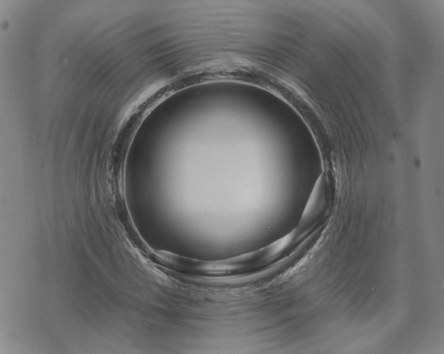 X0000071971018200607141454