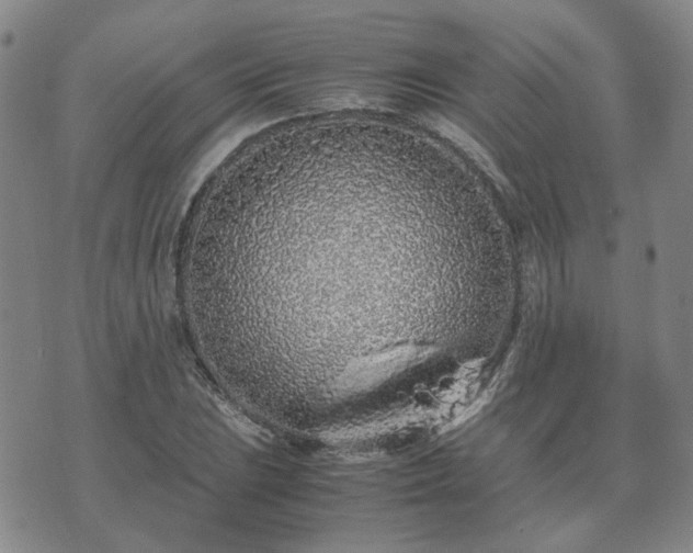 X0000071971023200607141454