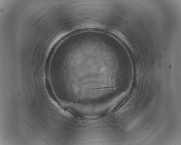 X0000071971024200607141454