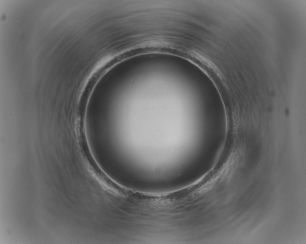 X0000071971029200607141454