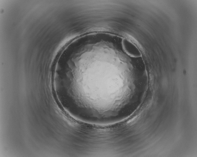 X0000071971035200607141454