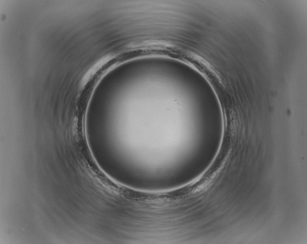 X0000071971066200607141454