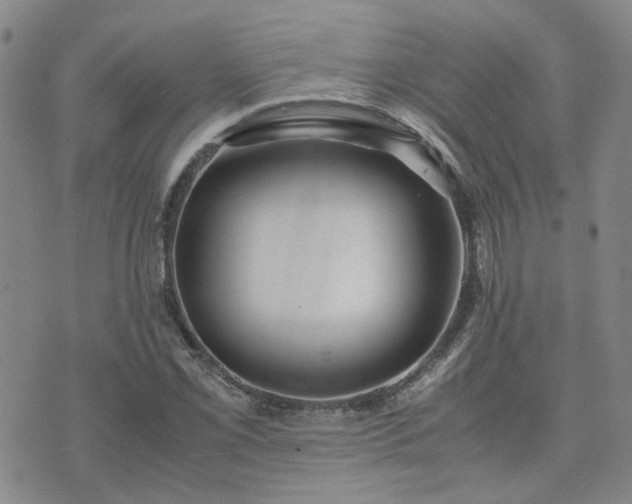X0000071971069200607141454