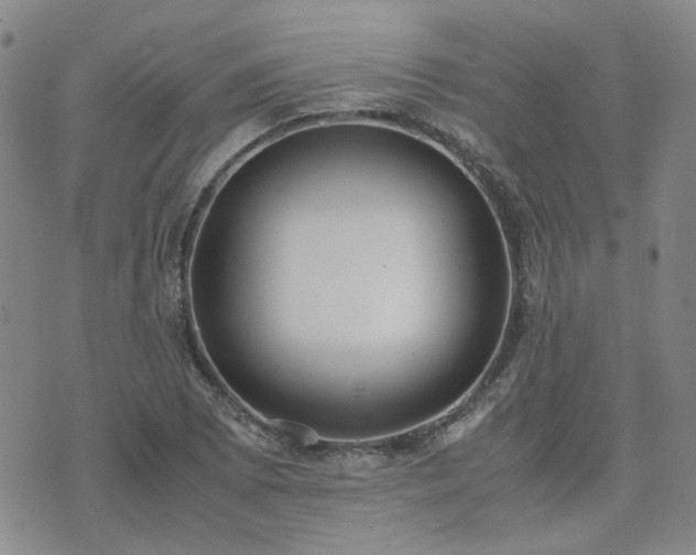 X0000071971073200607141454