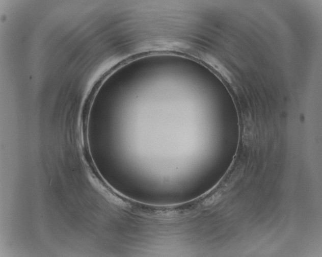 X0000071971080200607141453