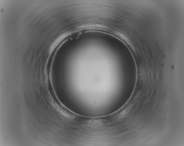 X0000071971082200607141453