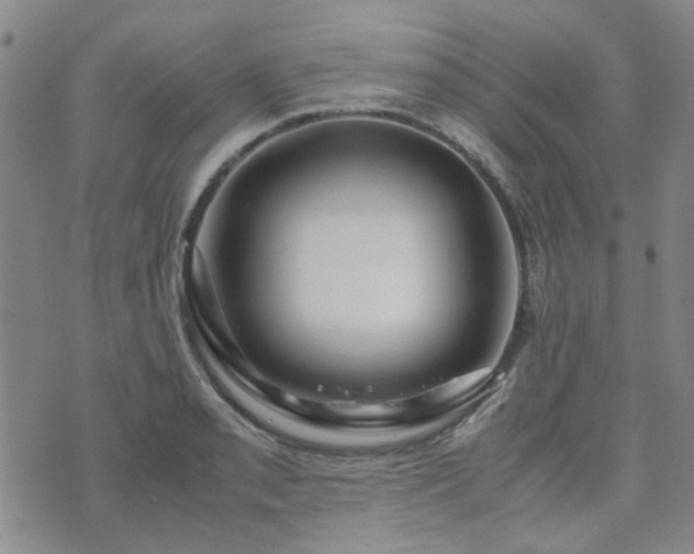 X0000071971085200607141453