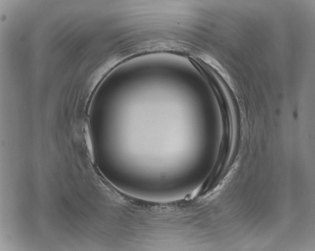 X0000071971089200607141453
