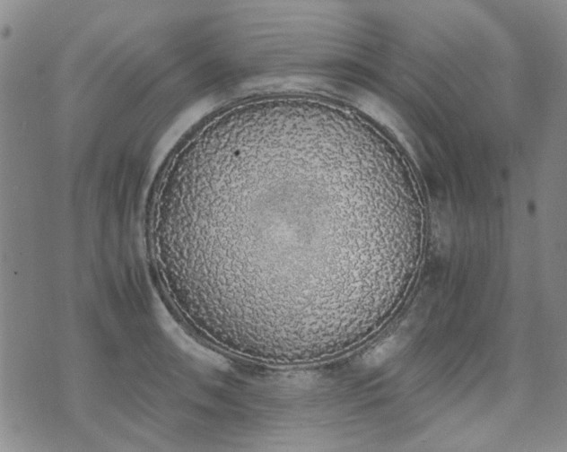 X0000071971090200607141453