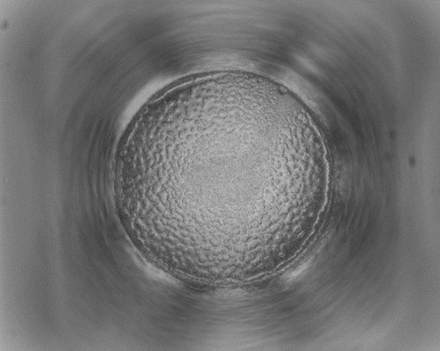 X0000071971094200607141453
