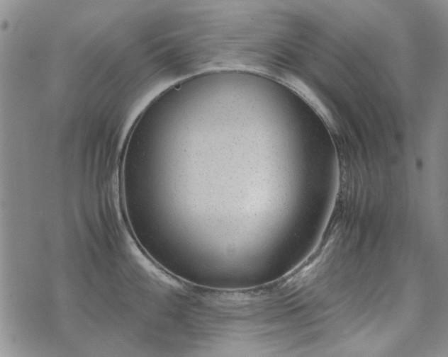 X0000071971100200607141453