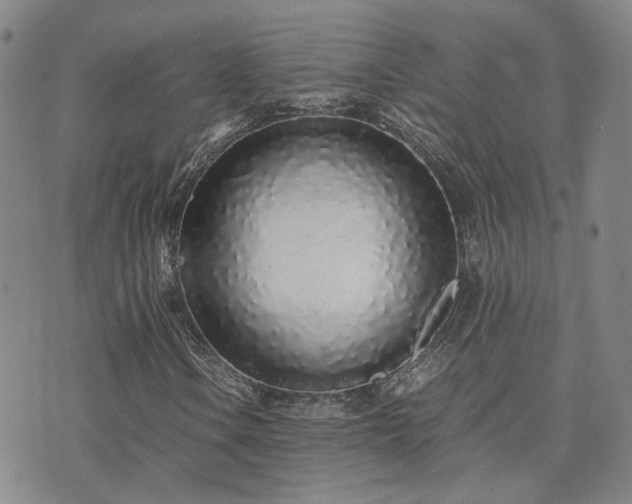X0000071971106200607141452