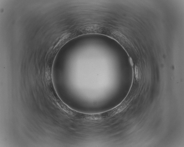 X0000071971107200607141452