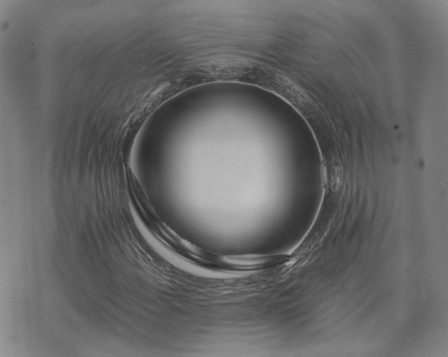 X0000071971108200607141452