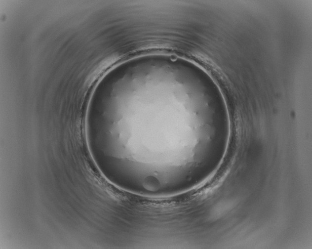 X0000071971121200607141453