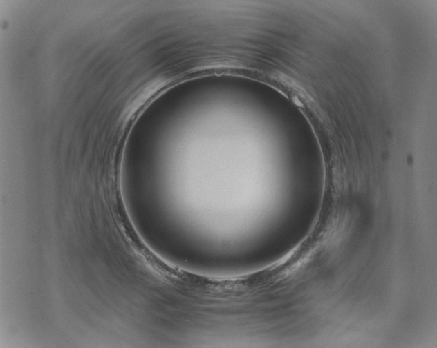 X0000071971129200607141453