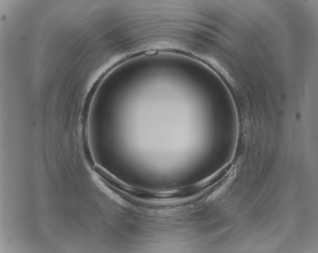 X0000071971134200607141453