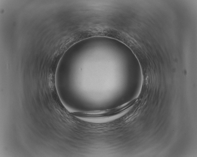 X0000071971156200607141452