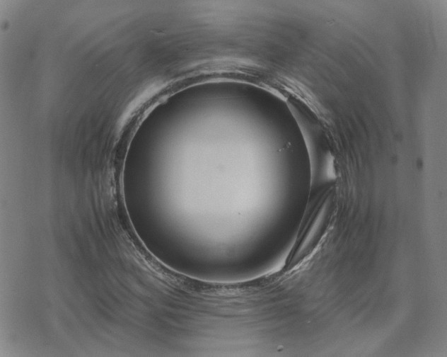 X0000071971164200607141452