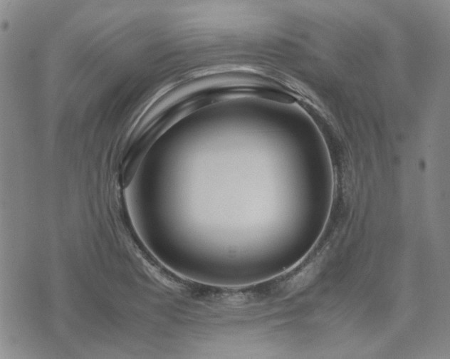 X0000071971177200607141452
