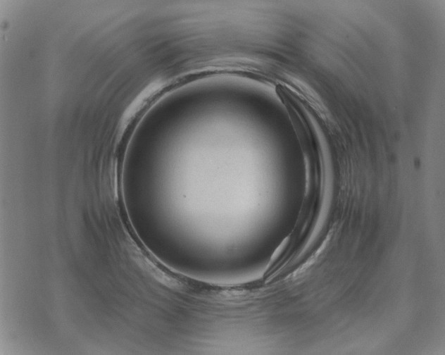 X0000071971180200607141452