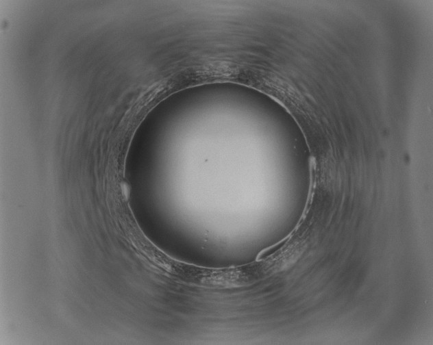 X0000071971201200607141451