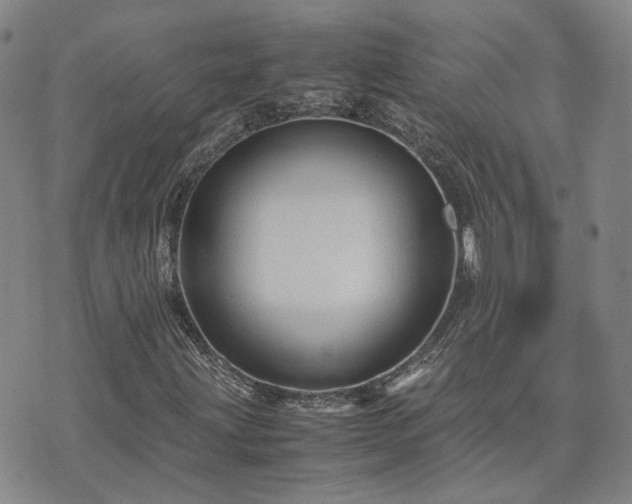 X0000071971203200607141451