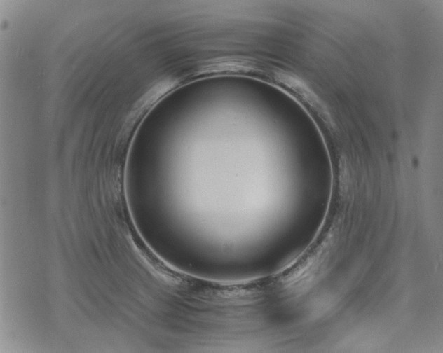X0000071971233200607141451