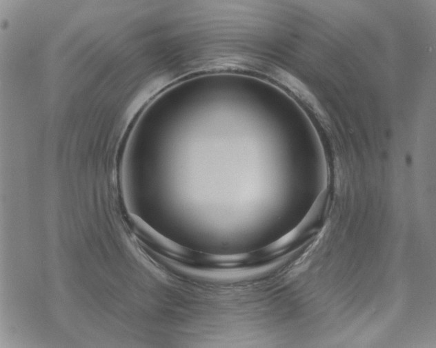 X0000071971234200607141451