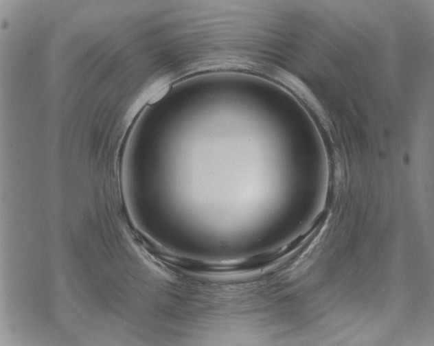 X0000071971242200607141451