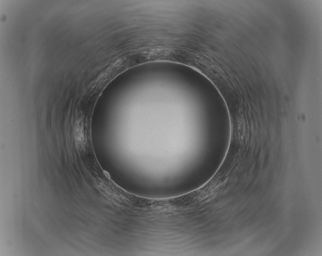 X0000071971250200607141451