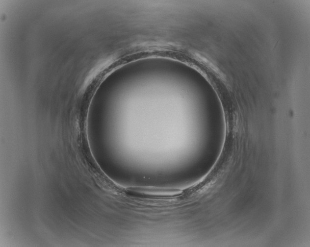 X0000071971261200607141451