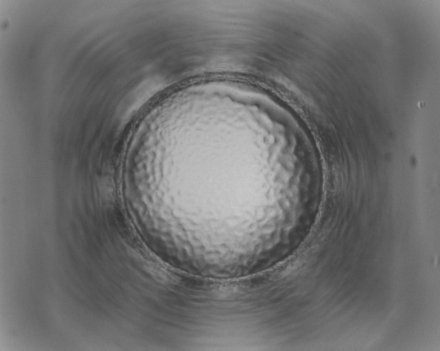 X0000071971266200607141450