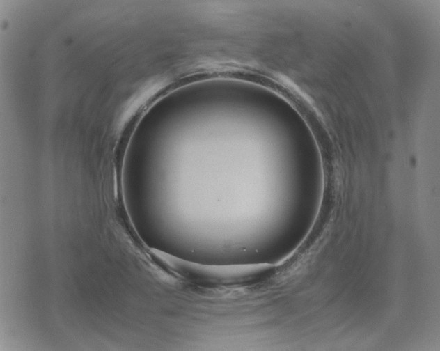 X0000071971269200607141450