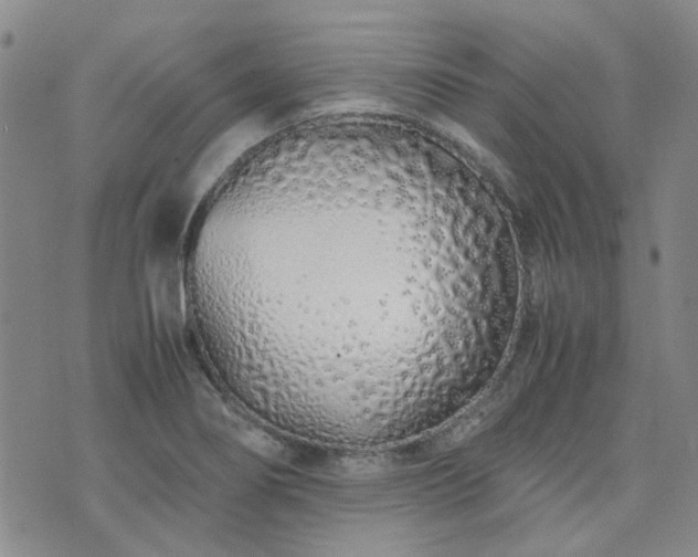 X0000071971274200607141450