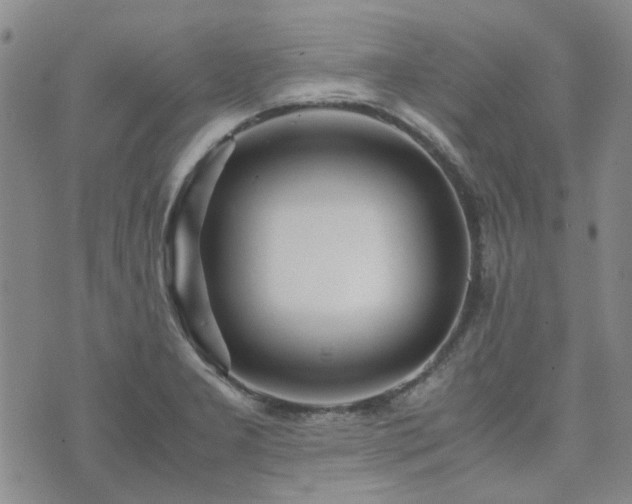 X0000071971277200607141450