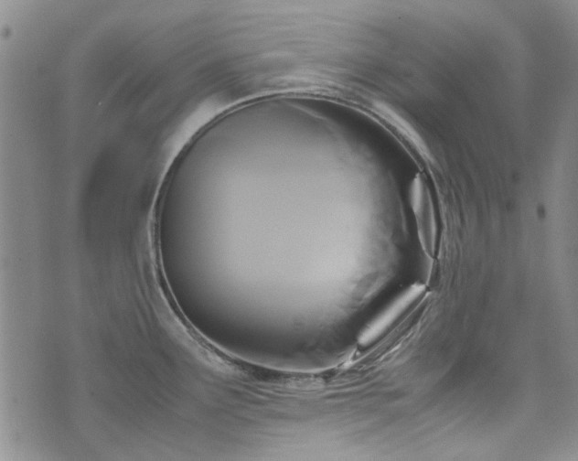 X0000071971291200607141450